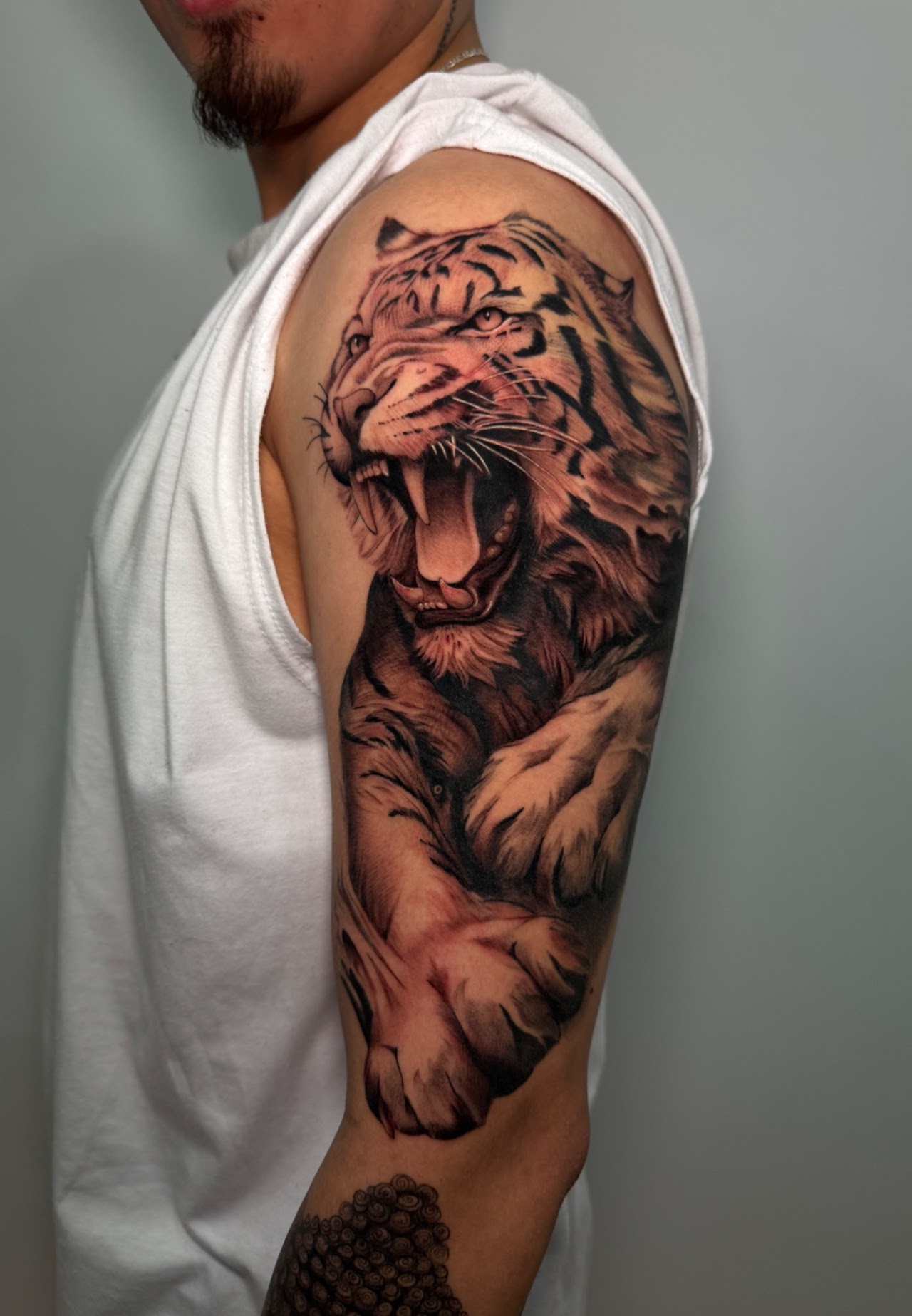 Animales — CAOS Art Tattoo Chile