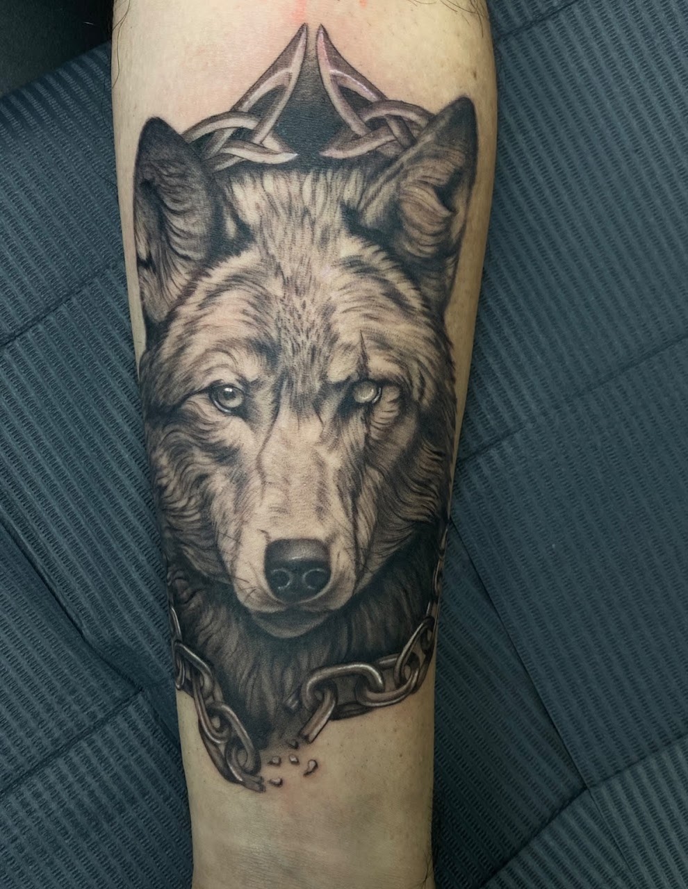 Tatuaje lobo cadena celtic black grey — CAOS Art Tattoo Chile