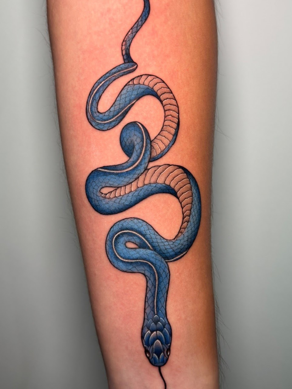 Tatuaje serpiente azul color — CAOS Art Tattoo Chile