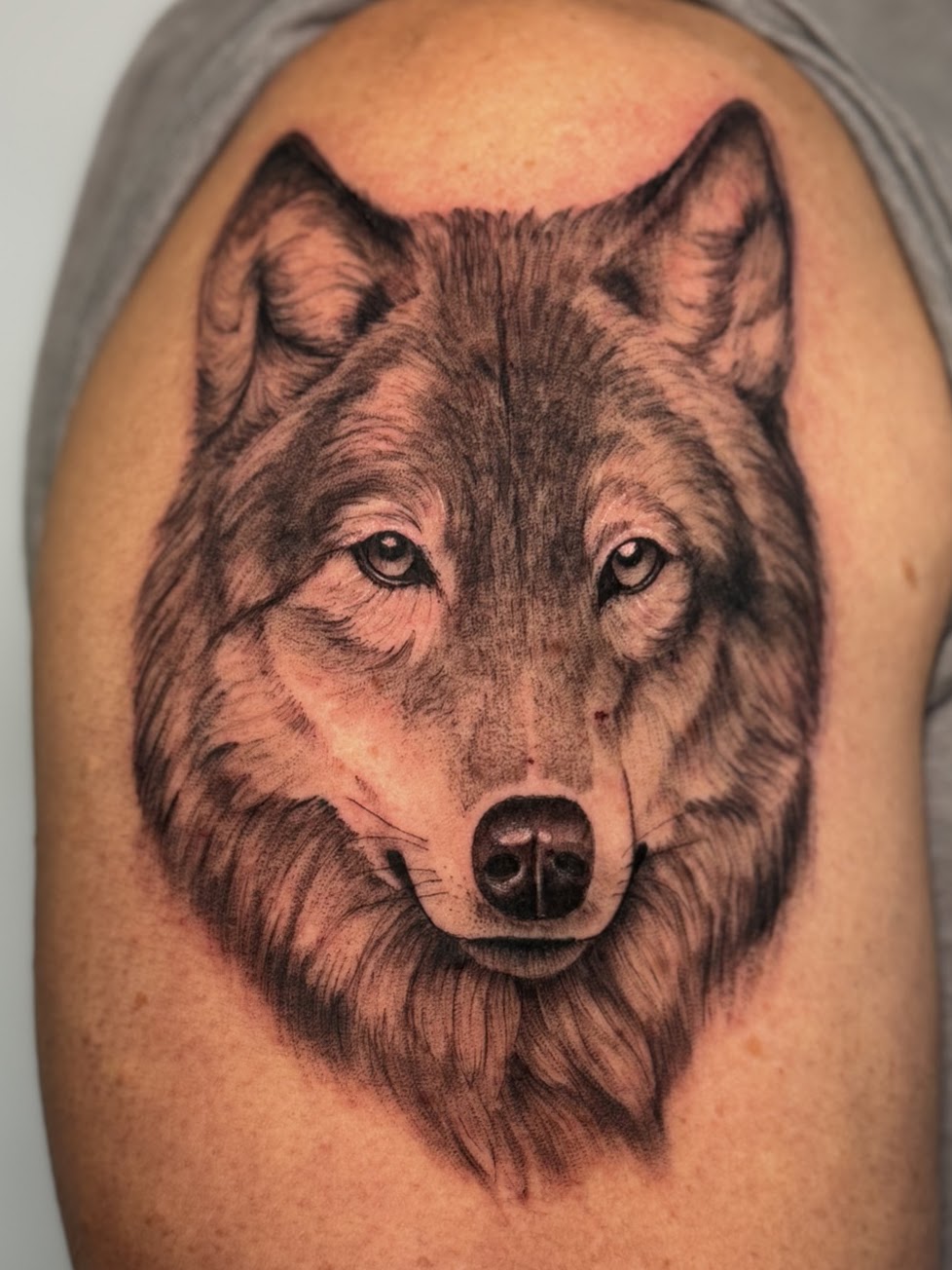 Tatuaje lobo retrato realismo — CAOS Art Tattoo Chile