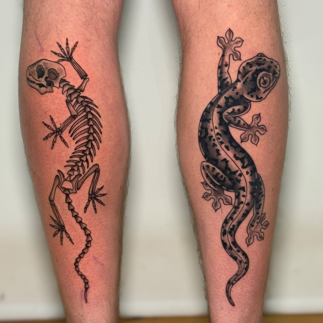 Tatuaje esqueleto gato lagarto black grey — CAOS Art Tattoo Chile