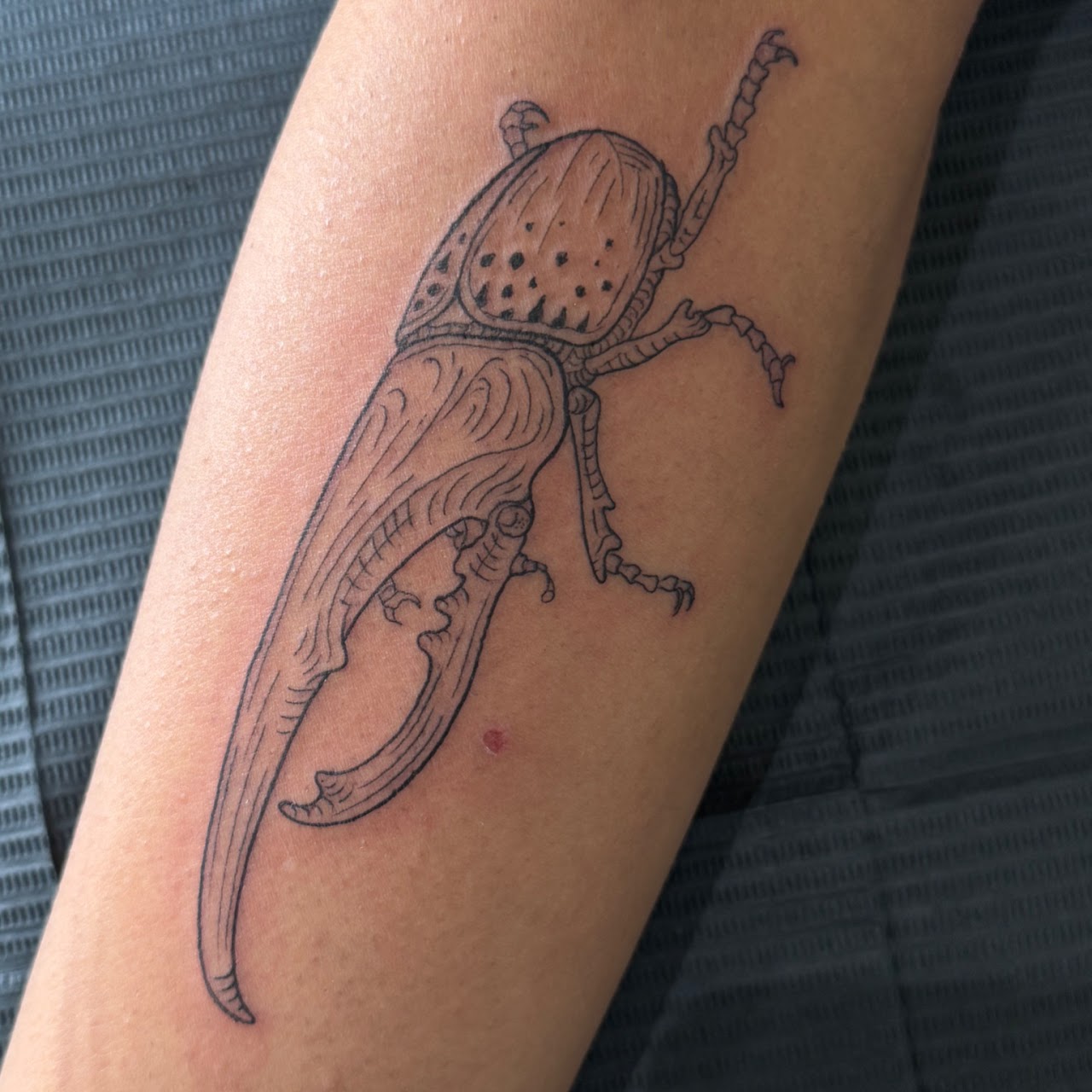 Tatuaje escarabajo coleóptero lineal — CAOS Art Tattoo Chile