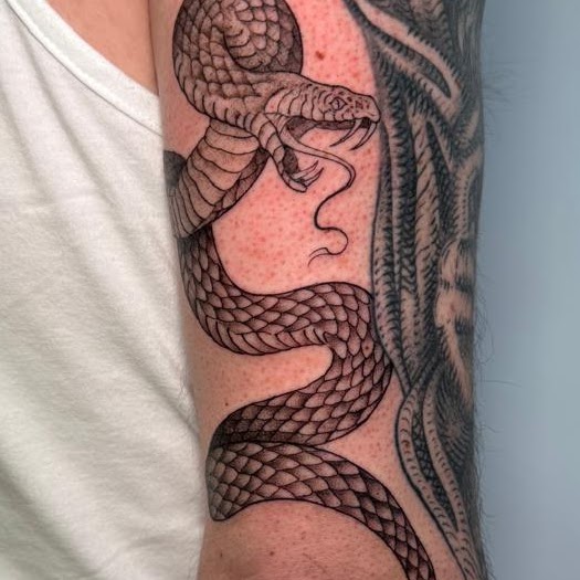 Tatuaje serpiente cobra black grey — CAOS Art Tattoo Chile