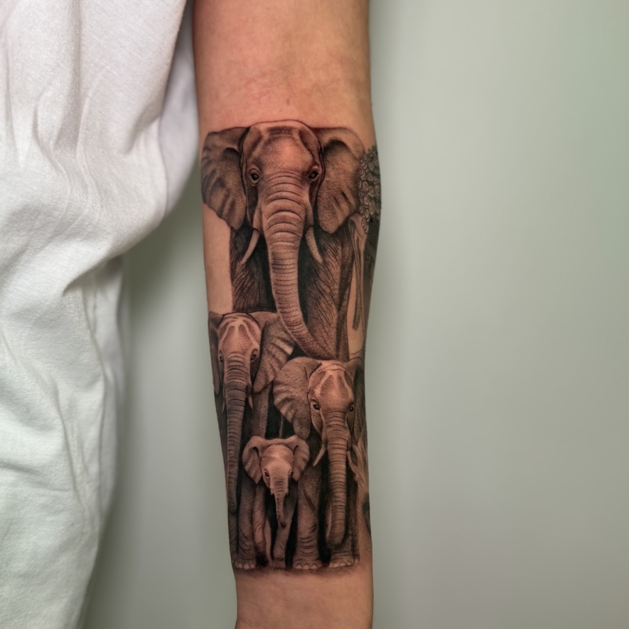 Tatuaje familia elefantes realismo black grey — CAOS Art Tattoo Chile
