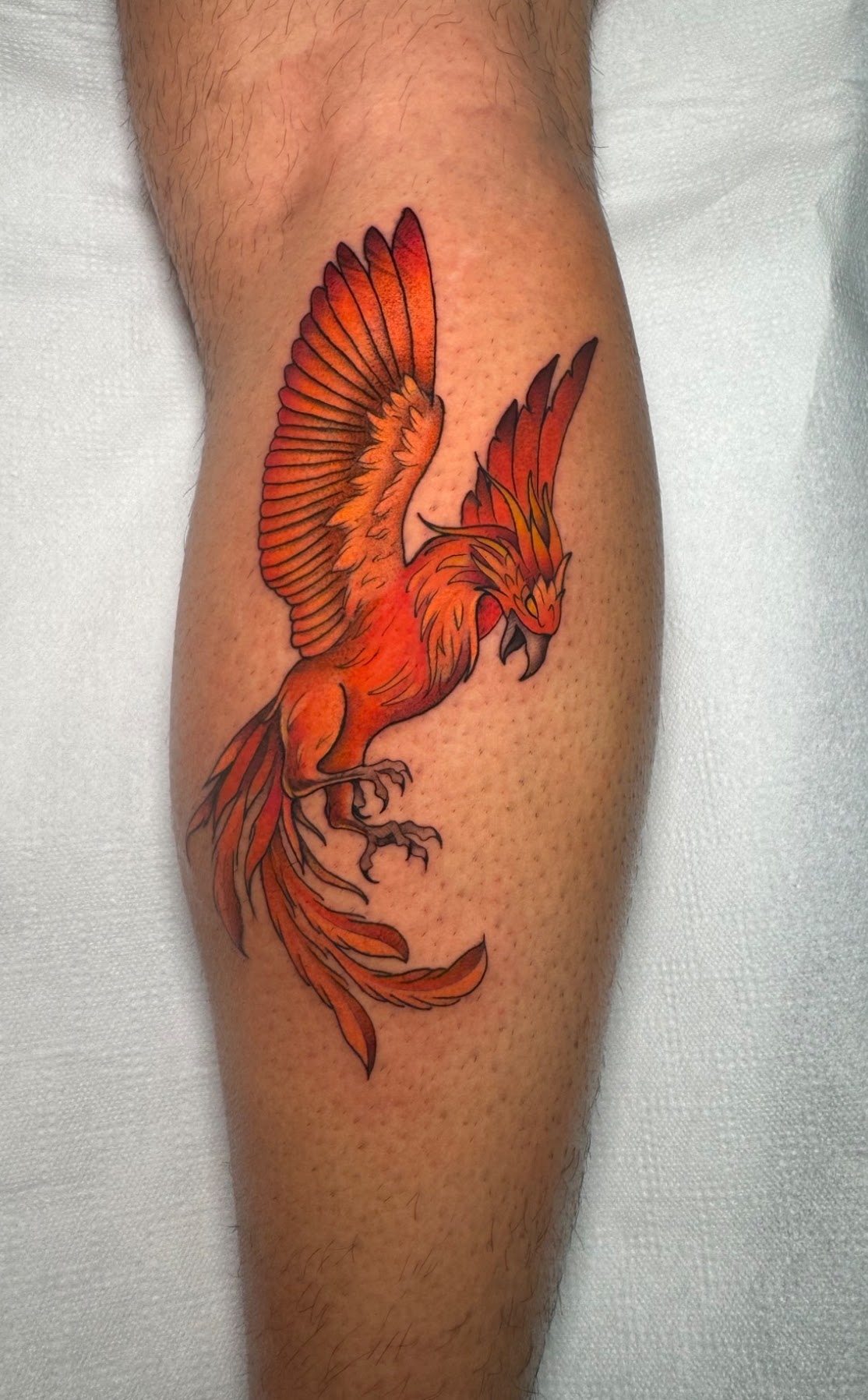 Tatuaje Fénix a color llamas naranjas — CAOS Art Tattoo Chile