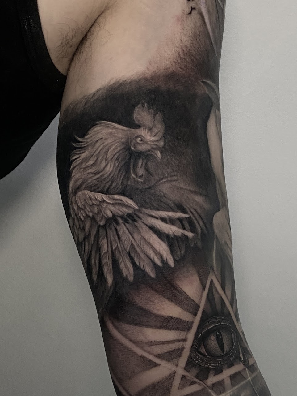 Aves — CAOS Art Tattoo Chile