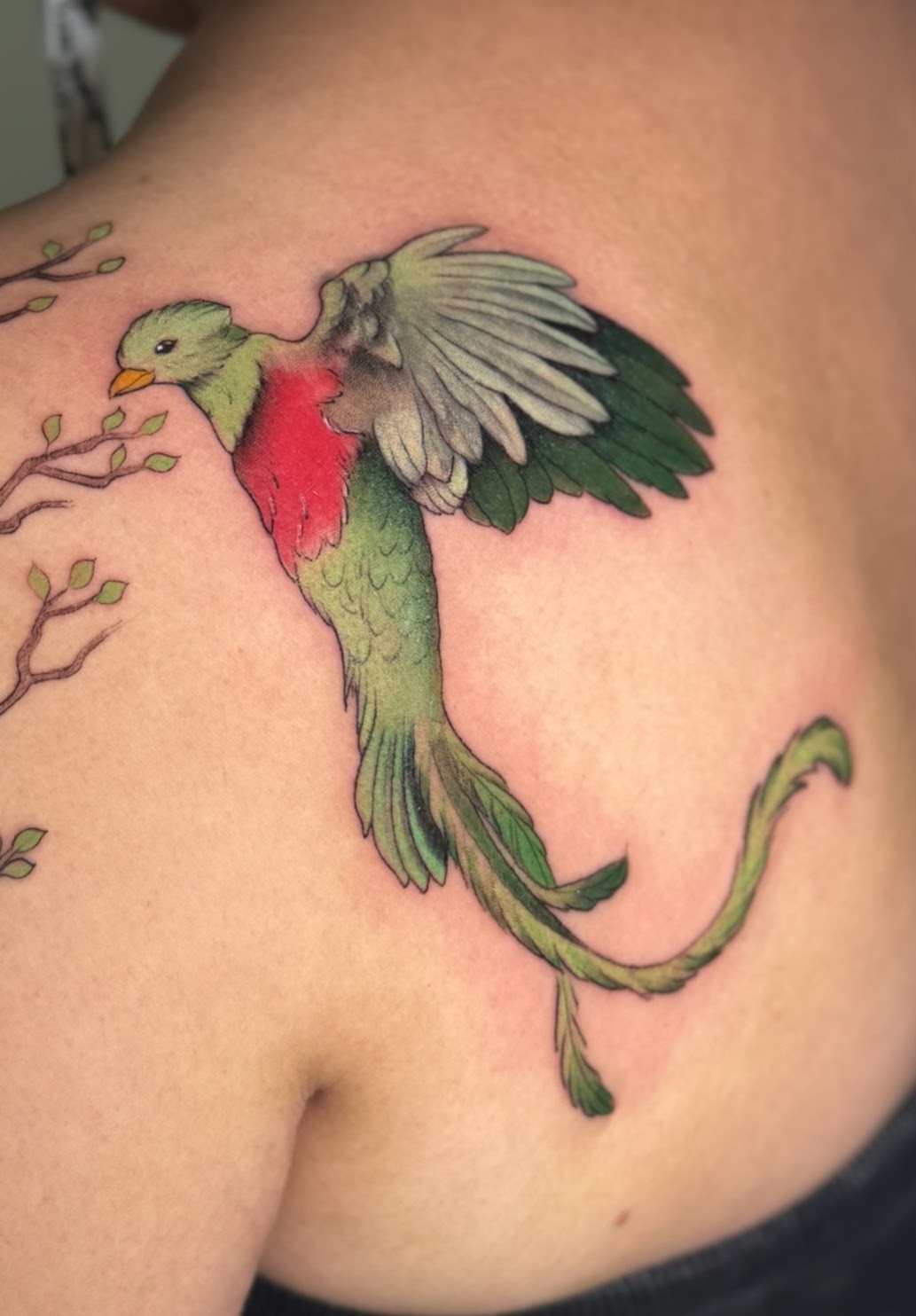 Tatuaje Águila calva esqueleto alas oscuras — CAOS Art Tattoo Chile