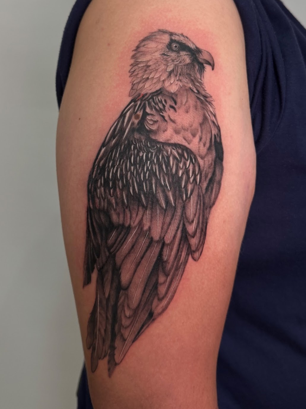 Tatuaje Águila calva cuerpo completo blackwork — CAOS Art Tattoo Chile