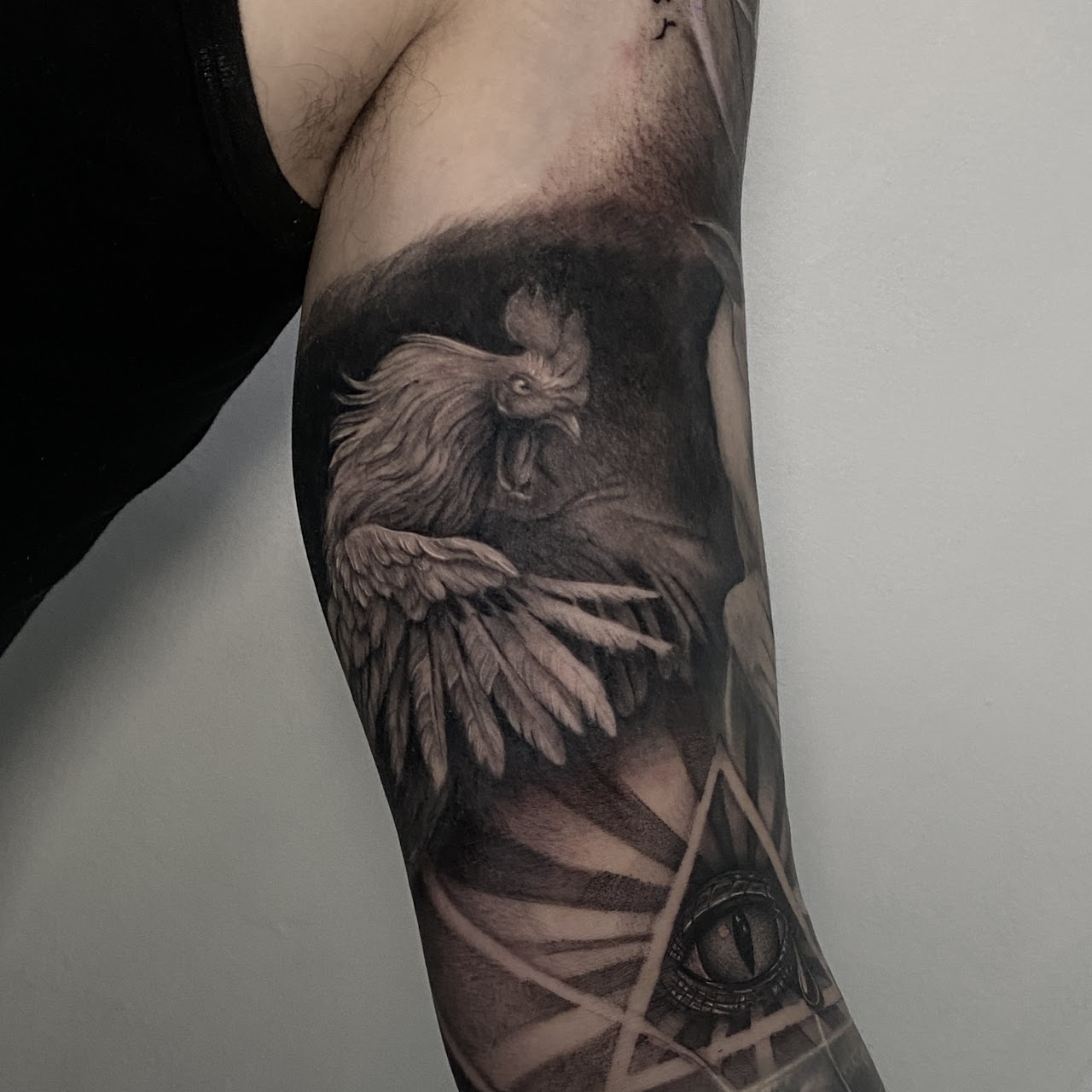 Tatuaje gallo de pelea ojo reptil black grey — CAOS Art Tattoo Chile