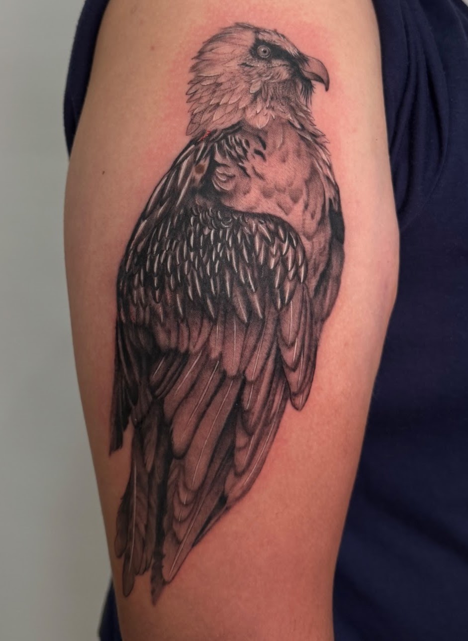 Tatuaje águila calva cuerpo completo realismo black grey — CAOS Art Tattoo Chile