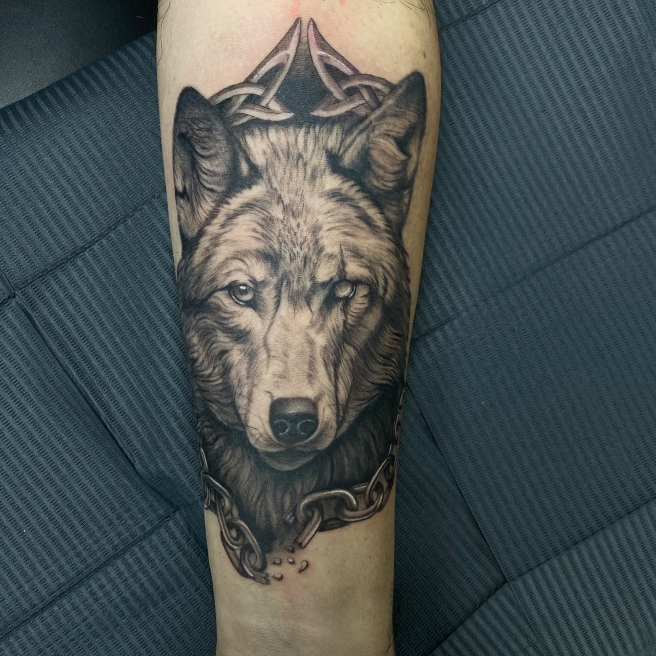 Tatuaje lobo cadena celta retrato realismo — CAOS Art Tattoo Chile