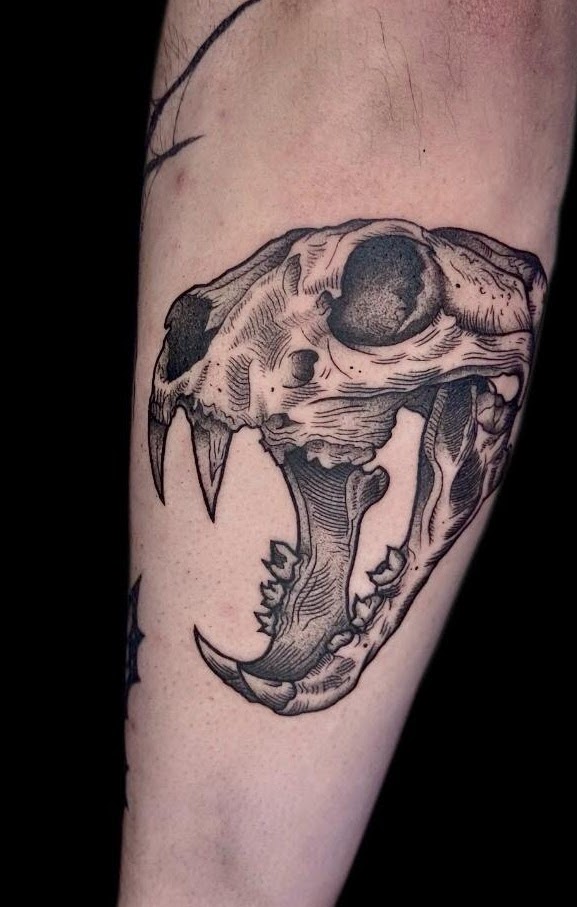 Tatuaje cráneo animal felino colmillos blackwork — CAOS Art Tattoo Chile