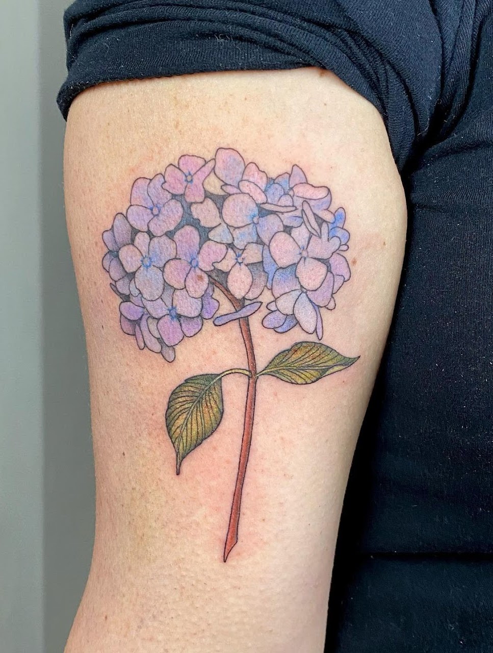Tatuaje Hortensia azul lila a color — CAOS Art Tattoo Chile
