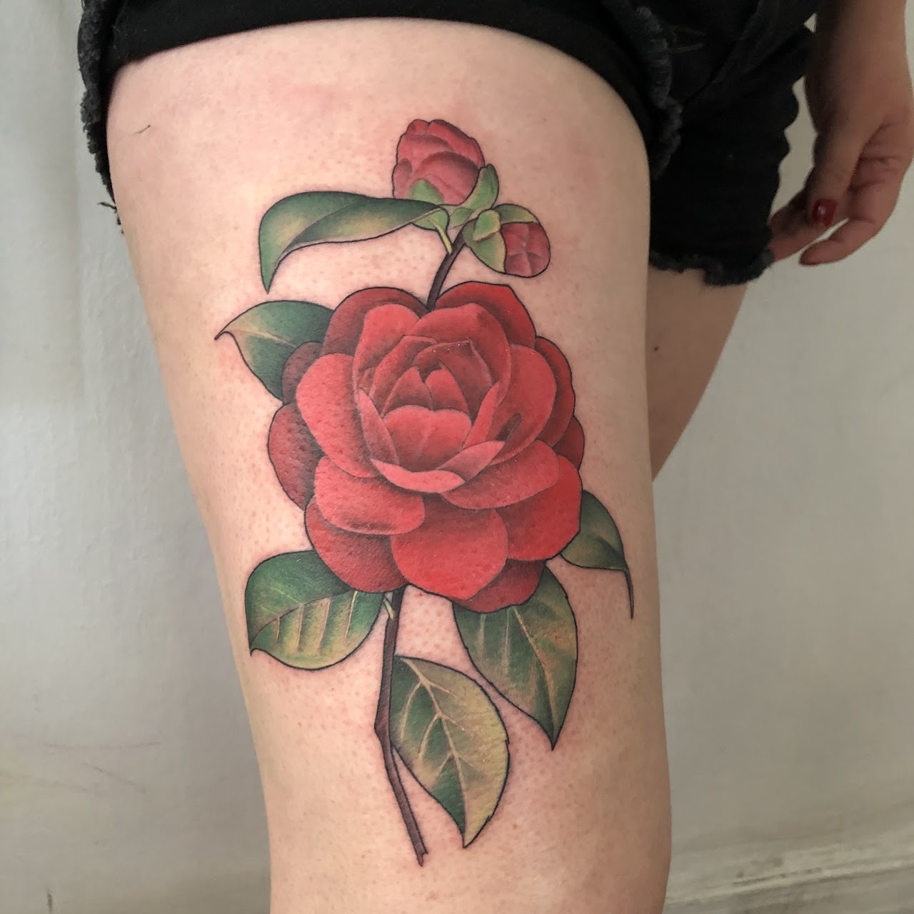 Tatuaje Camelia roja neo japonés en muslo — CAOS Art Tattoo Chile