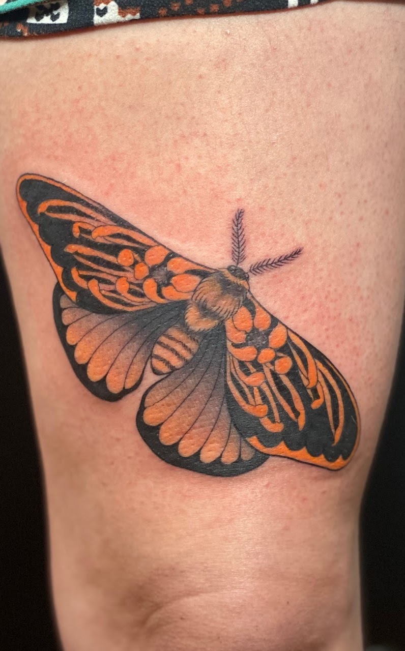 Tatuaje Polilla naranja y negra a color — CAOS Art Tattoo Chile