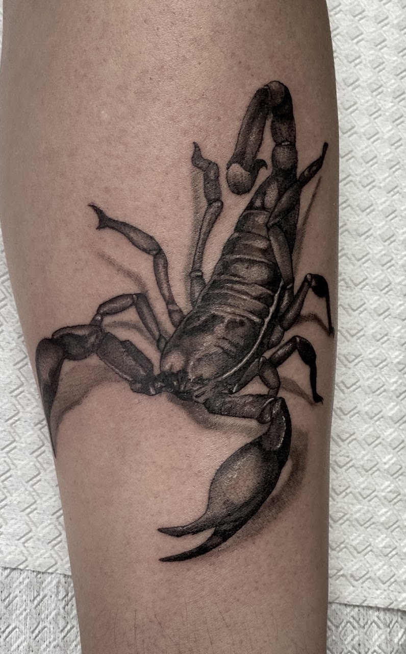 Tatuaje Escorpión realista blackwork — CAOS Art Tattoo Chile