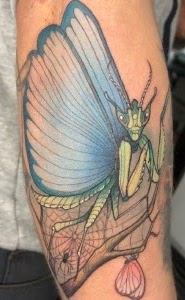 Tatuaje Mantis religiosa con alas de libélula a color — CAOS Art Tattoo Chile