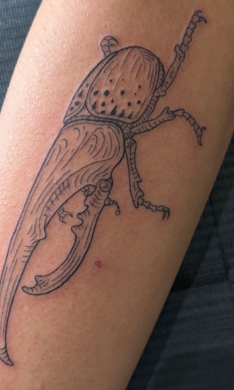 Tatuaje Escarabajo longicorne fineline — CAOS Art Tattoo Chile
