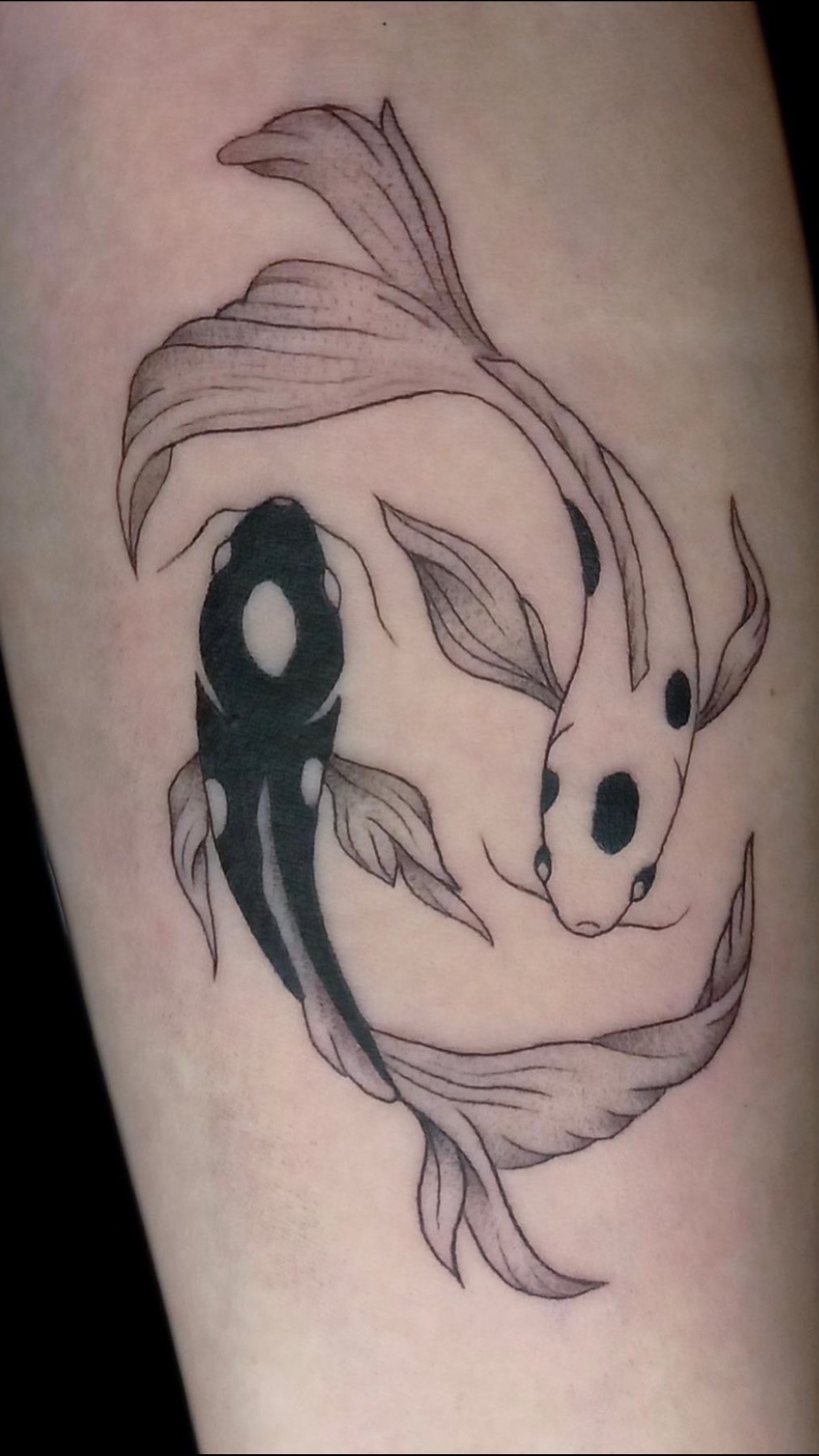 Tatuaje Peces koi yin yang lineal — CAOS Art Tattoo Chile