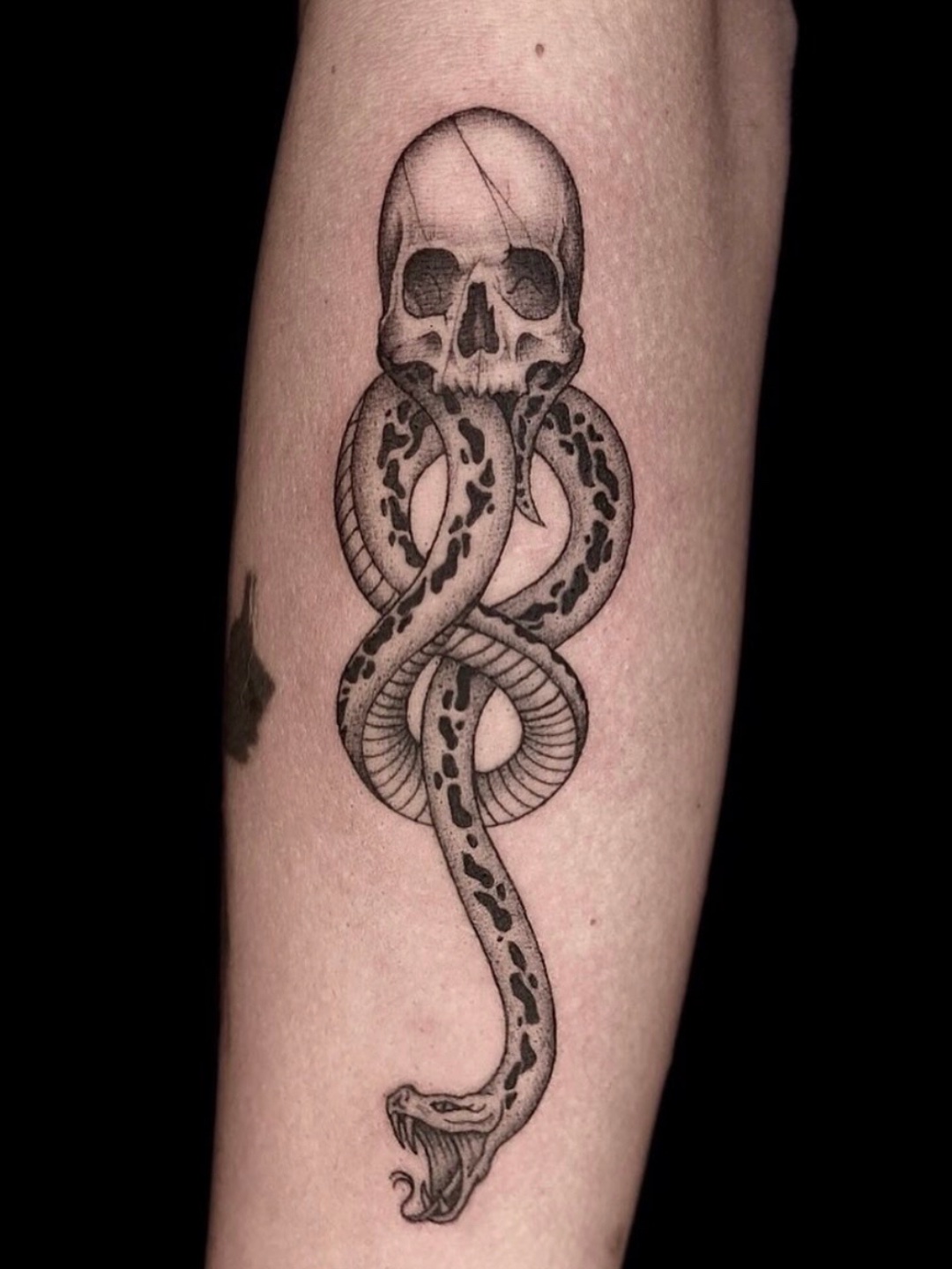 Tatuaje Cráneo con serpiente enroscada blackwork — CAOS Art Tattoo Chile