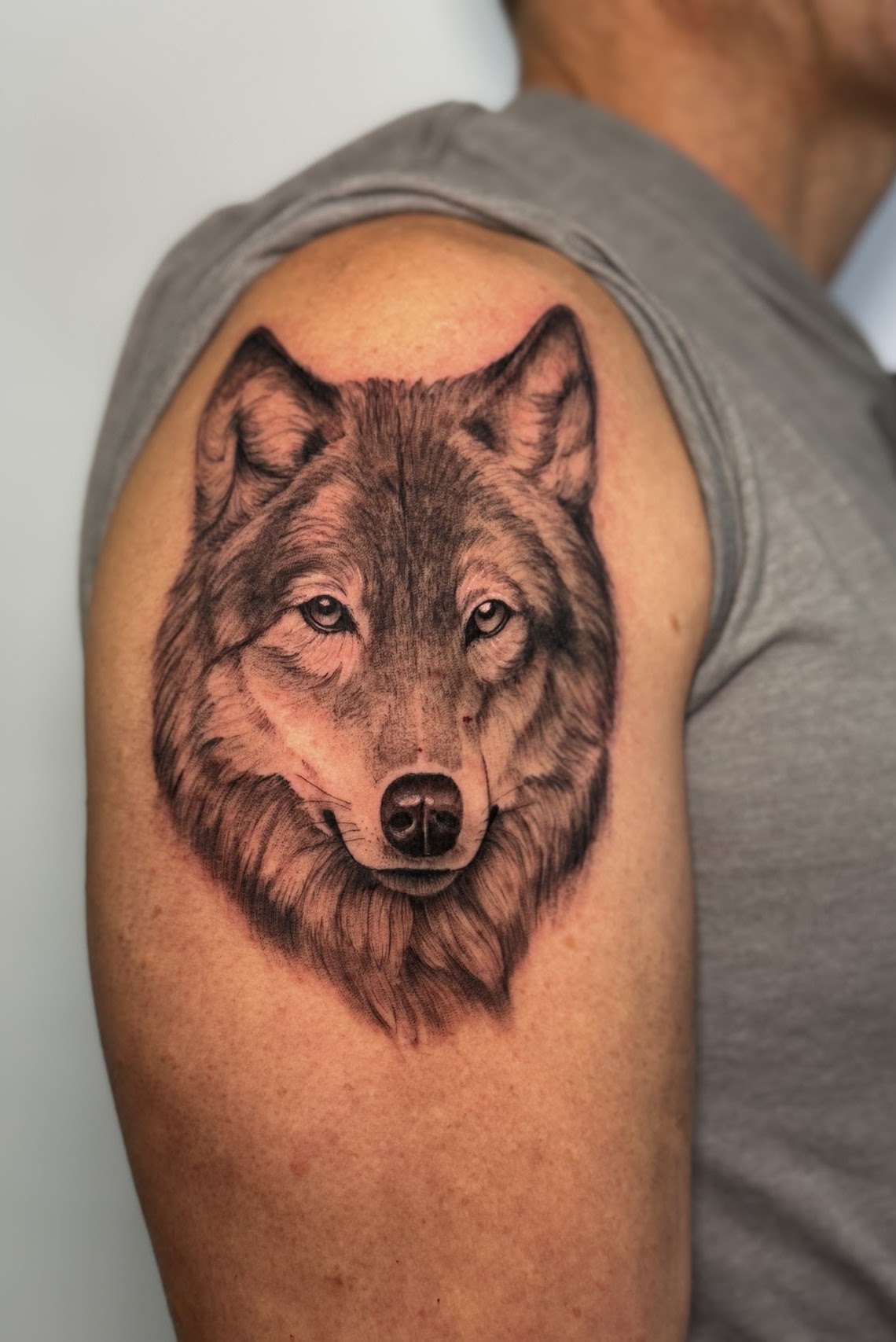 Tatuaje Lobo realista retrato frontal hombro — CAOS Art Tattoo Chile