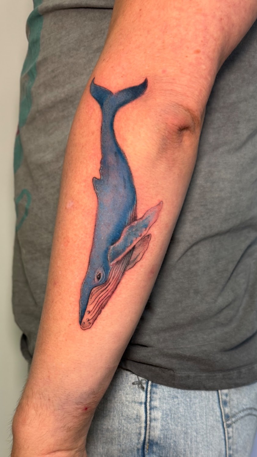 Tatuaje Ballena jorobada a color acuarela — CAOS Art Tattoo Chile