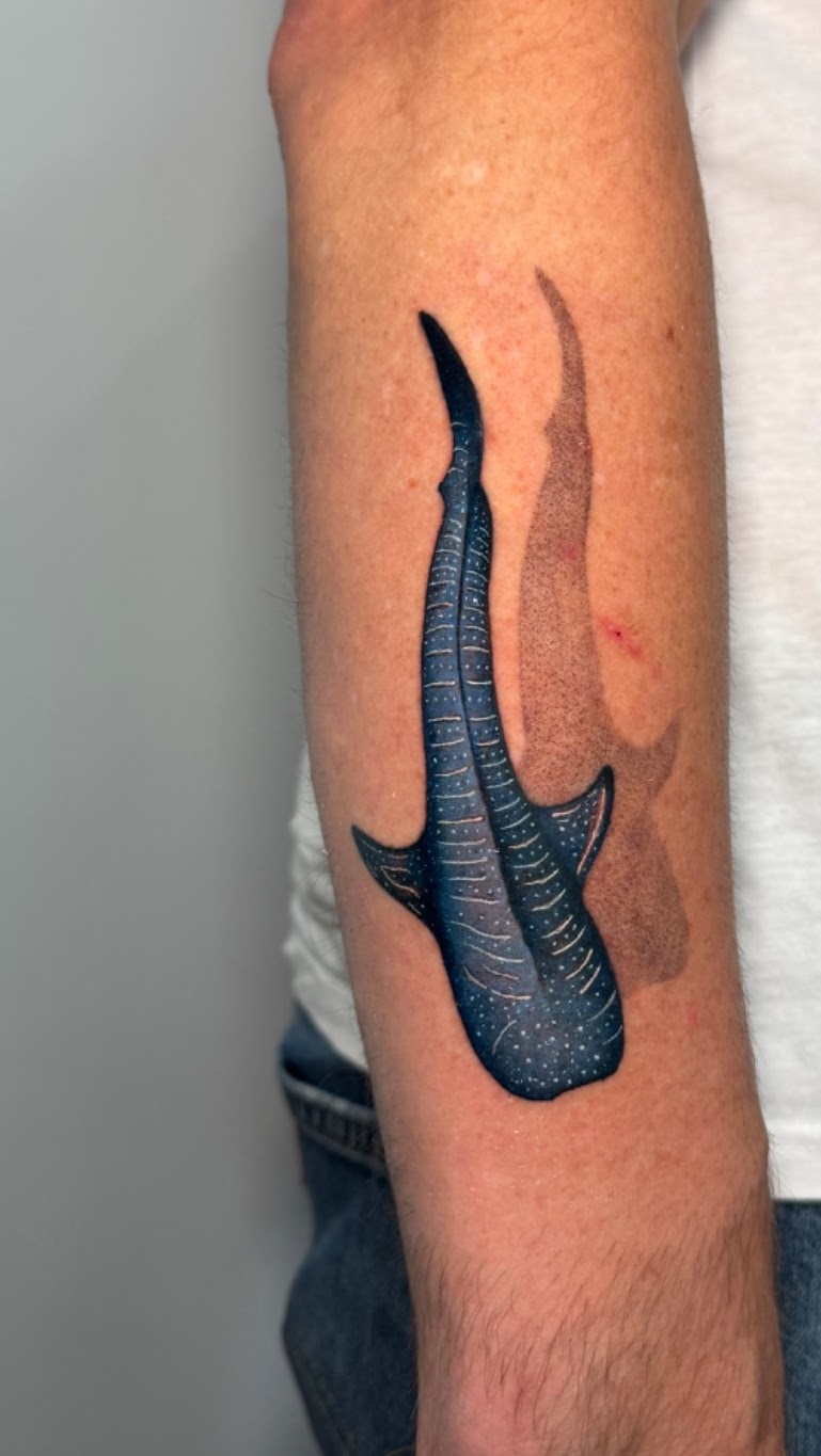 Tatuaje Tiburón ballena a color realista — CAOS Art Tattoo Chile