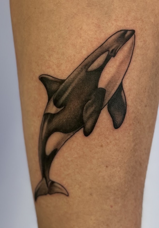 Tatuaje Orca microrealismo blackwork detallada — CAOS Art Tattoo Chile