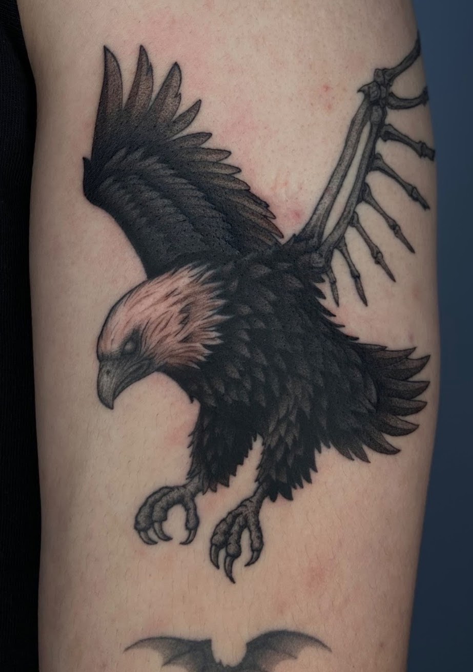 Tatuaje Águila calva con ala esqueleto microrealismo — CAOS Art Tattoo Chile