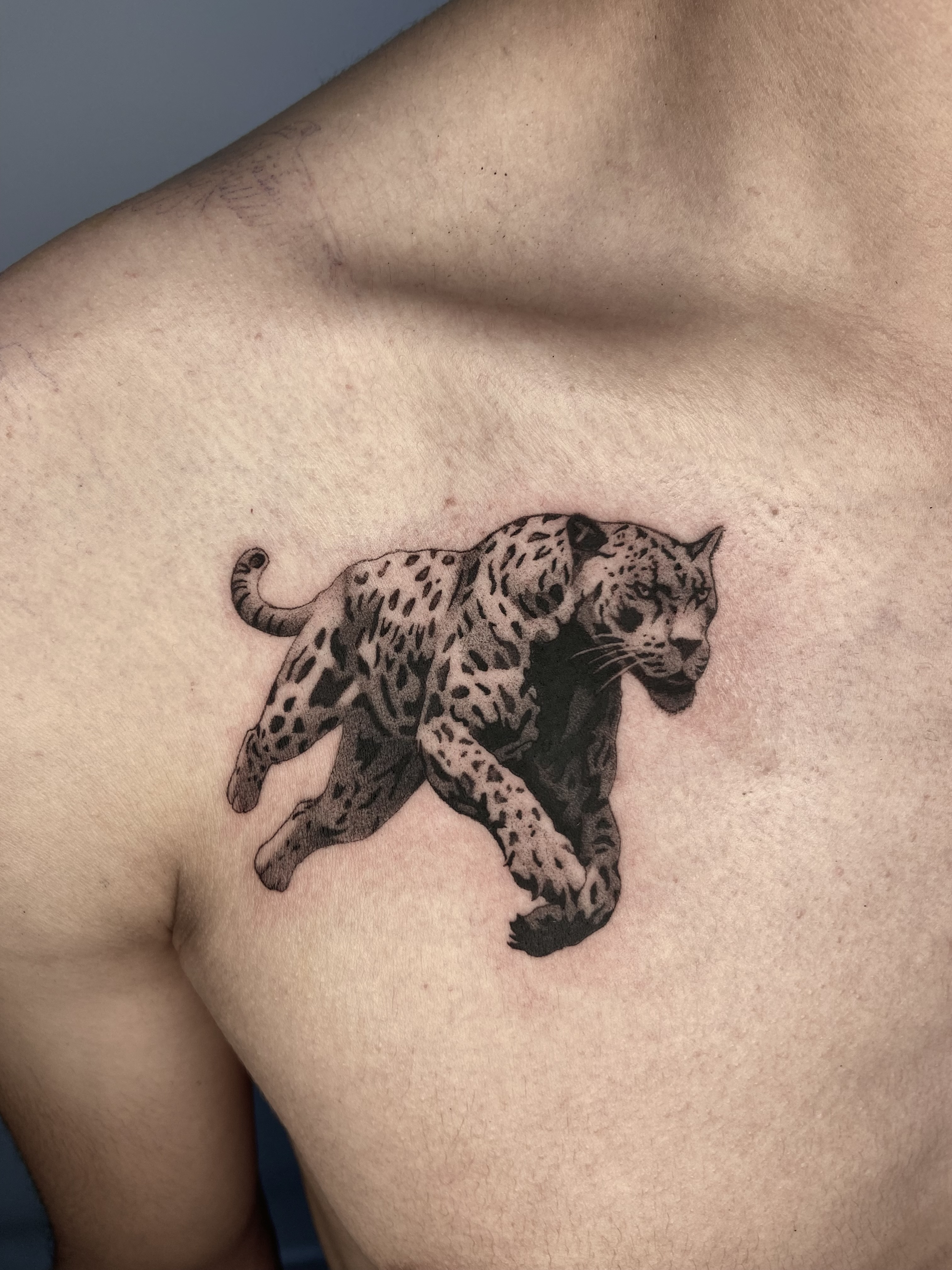 Jaguar microrealismo — CAOS Art Tattoo