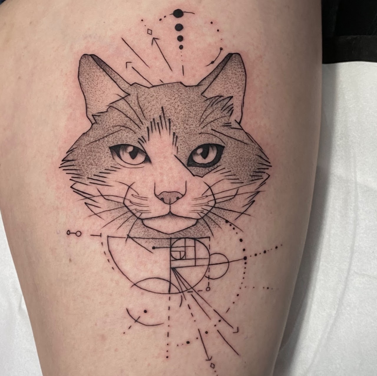 Tatuaje ornamental geométrico lobo mandala espalda blackwork — CAOS Art Tattoo Chile