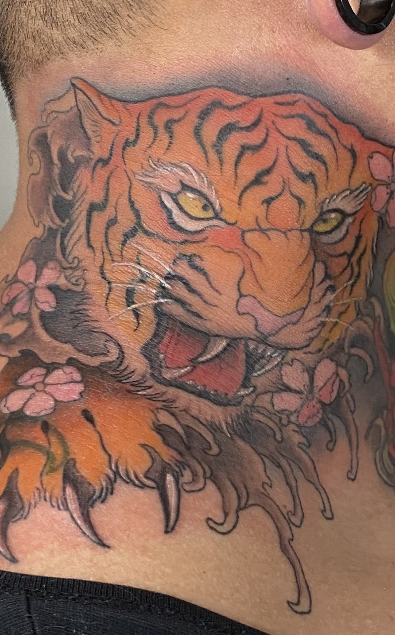 Tatuaje Tigre neo japonés a color con sakura cuello — CAOS Art Tattoo Chile