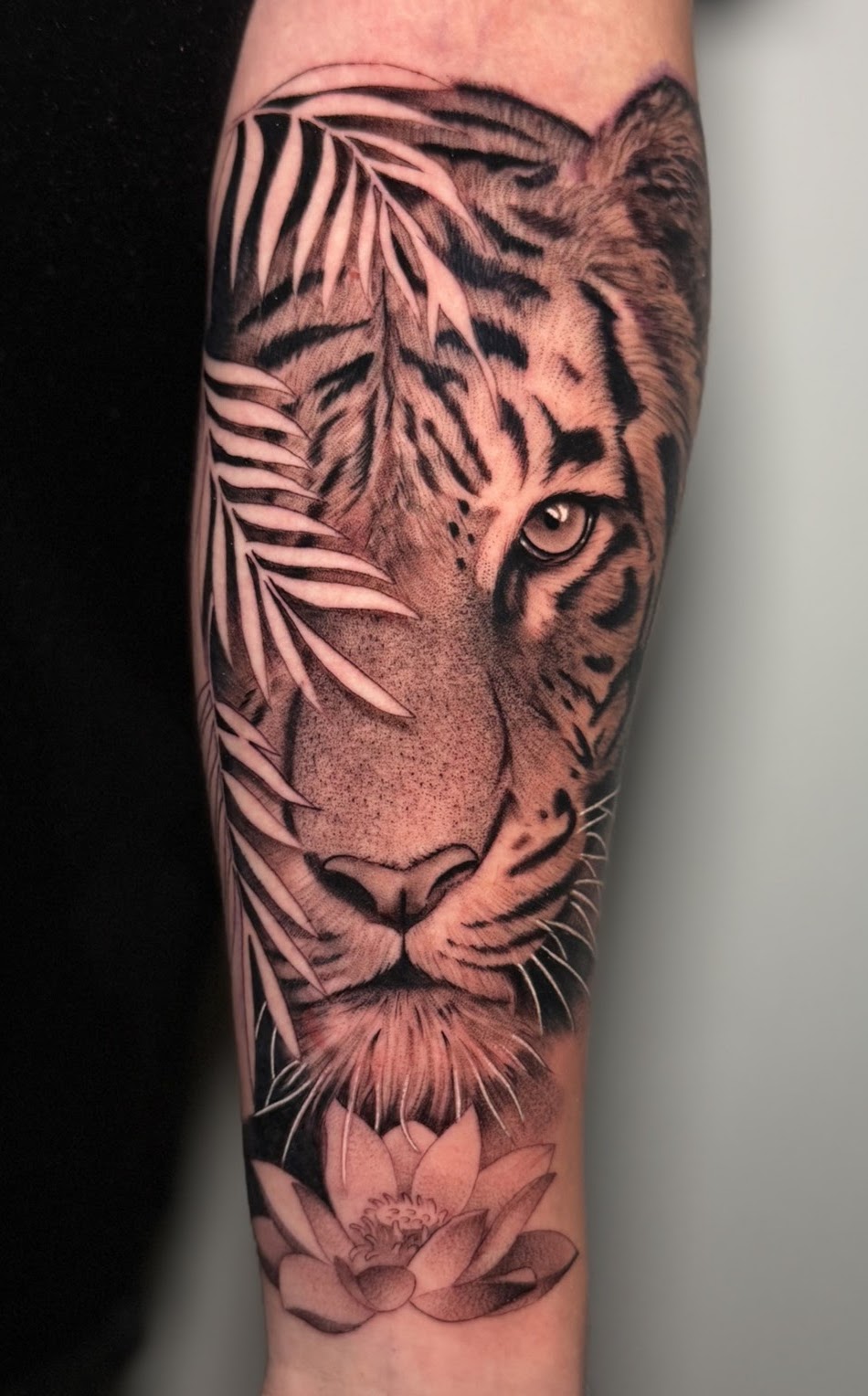 Tatuaje Tigre realista con hojas de palma y flor de loto — CAOS Art Tattoo Chile
