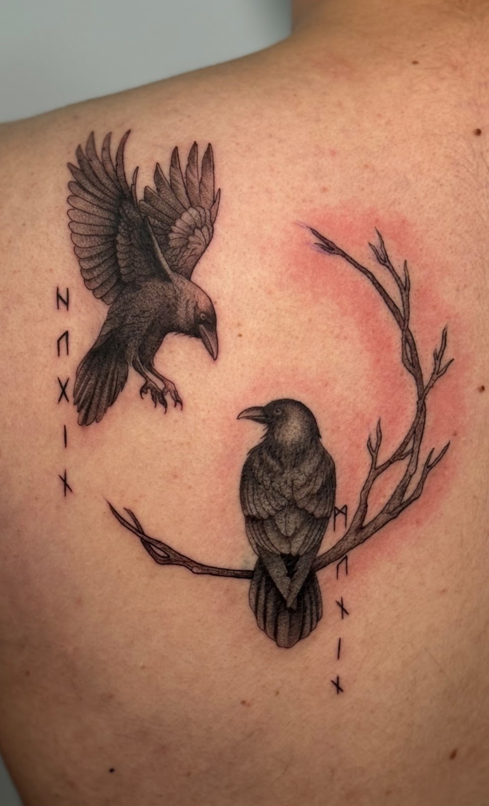 Tatuaje Huginn y Muninn cuervos de Odín con runas — CAOS Art Tattoo Chile