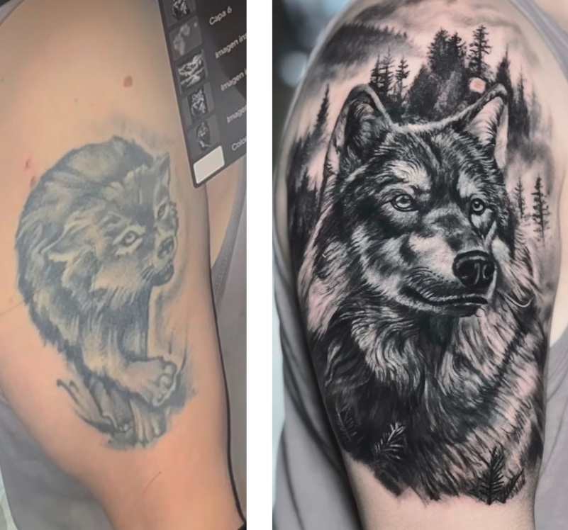 Cover-up tatuaje lobo antiguo por lobo bosque realismo black grey — CAOS Art Tattoo Santiago