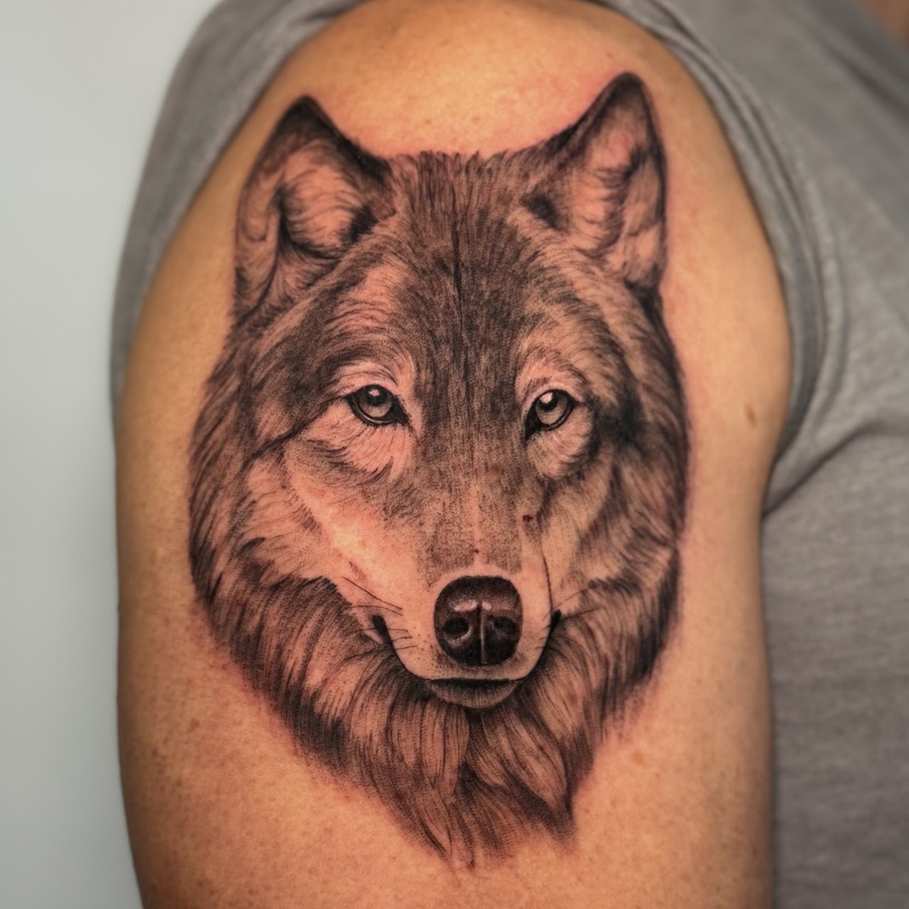 El Lobo — tatuaje retrato lobo Krimatt Caos Art Tattoo Santiago